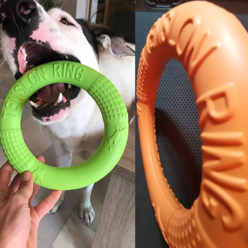 Interactive EVA Training Ring - Cindy's Shop
