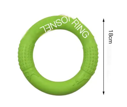 Interactive EVA Training Ring - Cindy's Shop
