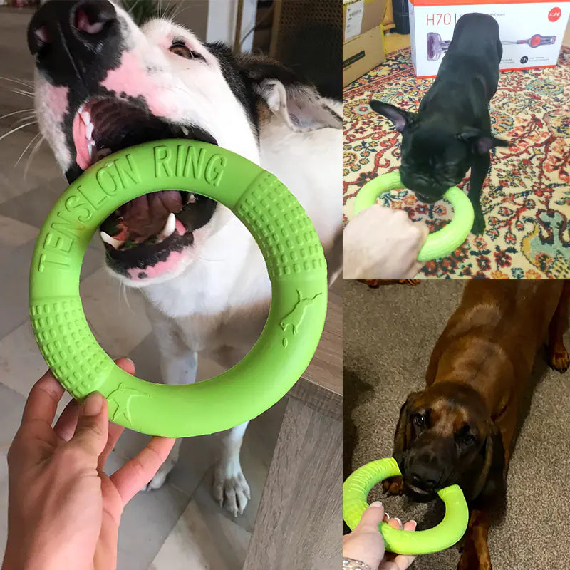 Interactive EVA Training Ring - Cindy's Shop