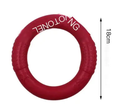 Interactive EVA Training Ring - Cindy's Shop