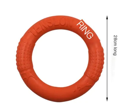 Interactive EVA Training Ring - Cindy's Shop