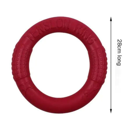 Interactive EVA Training Ring - Cindy's Shop