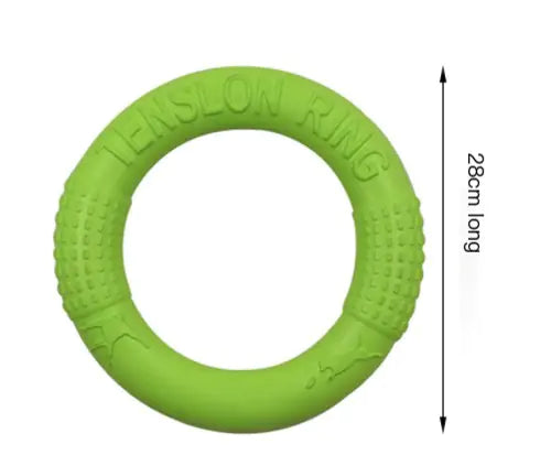 Interactive EVA Training Ring - Cindy's Shop