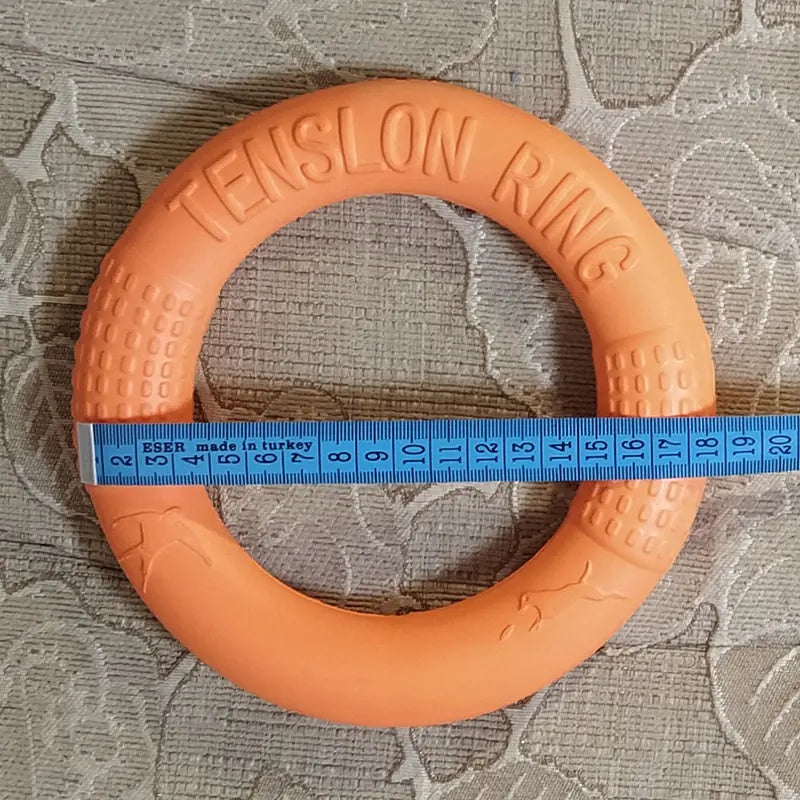 Interactive EVA Training Ring - Cindy's Shop