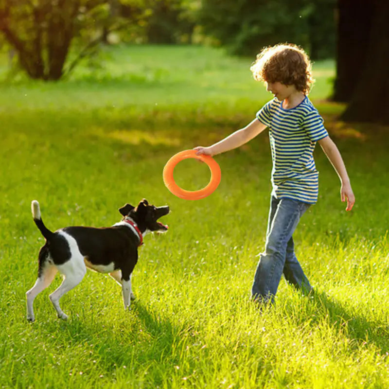 Interactive EVA Training Ring - Cindy's Shop